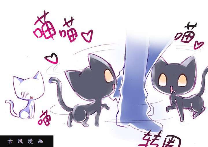 我家大师兄脑子有坑番外飞星喵1 喵界之耻