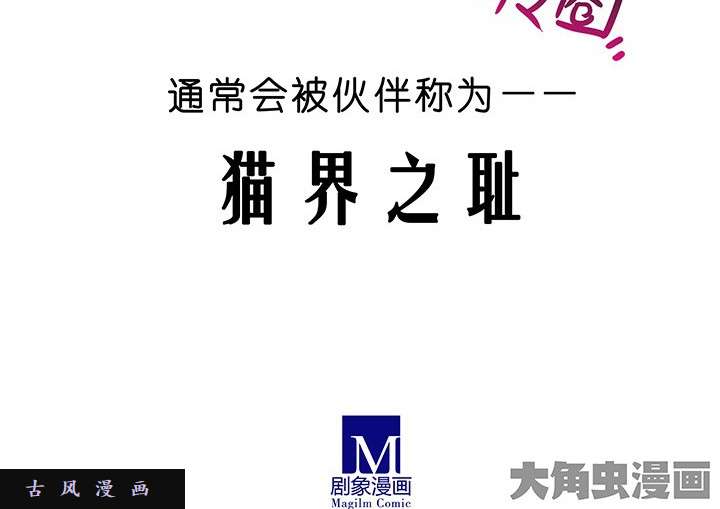 我家大师兄脑子有坑番外飞星喵1 喵界之耻