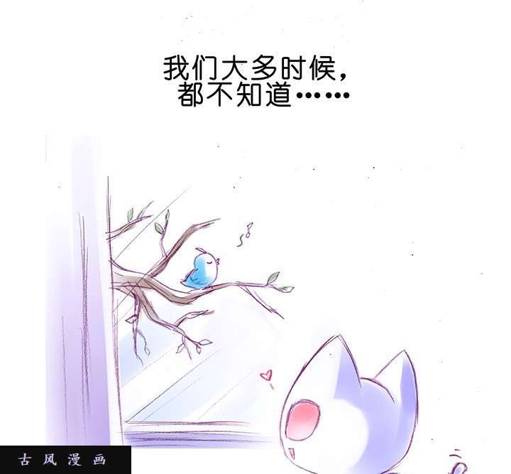 我家大师兄脑子有坑番外飞星喵1 喵界之耻