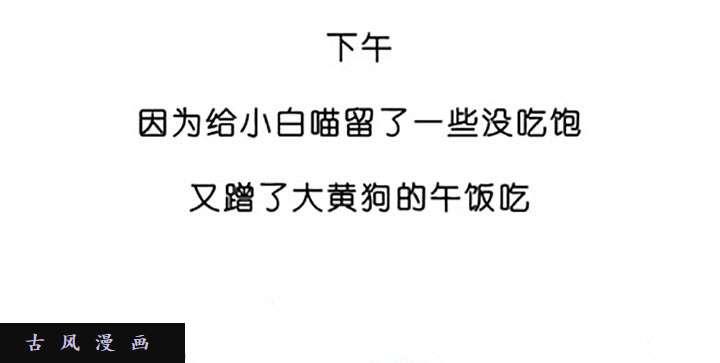 我家大师兄脑子有坑番外飞星喵4 甜甜的一坑2