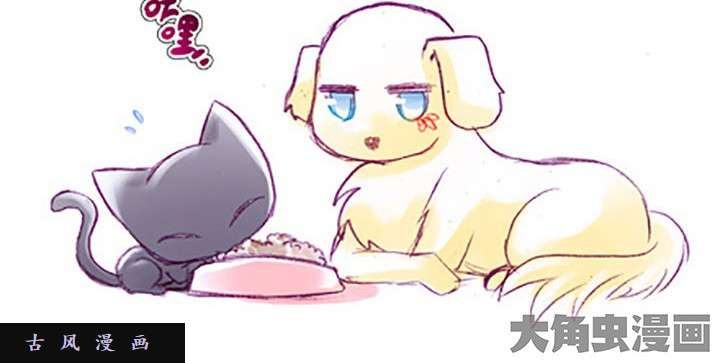 我家大师兄脑子有坑番外飞星喵4 甜甜的一坑2