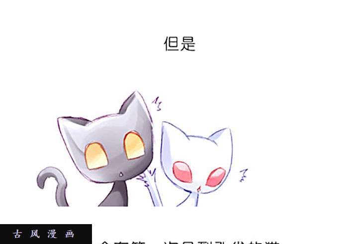 我家大师兄脑子有坑番外飞星喵5 再薅毛就没啦！