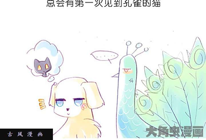 我家大师兄脑子有坑番外飞星喵5 再薅毛就没啦！