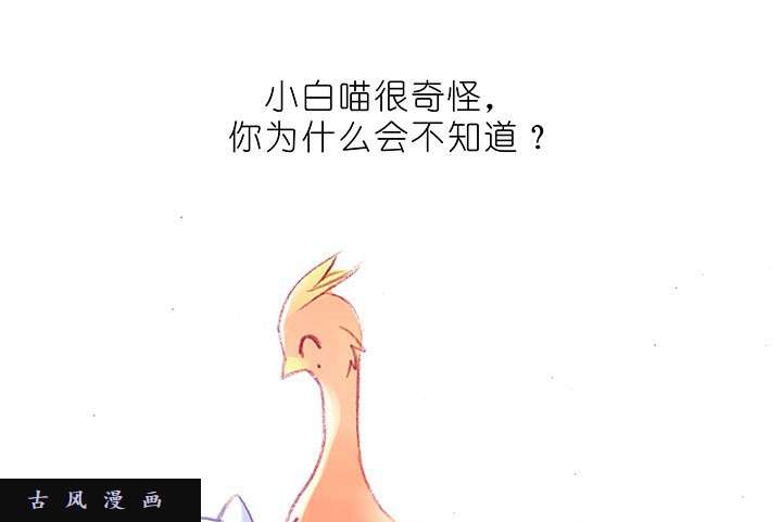 我家大师兄脑子有坑番外飞星喵8 长大