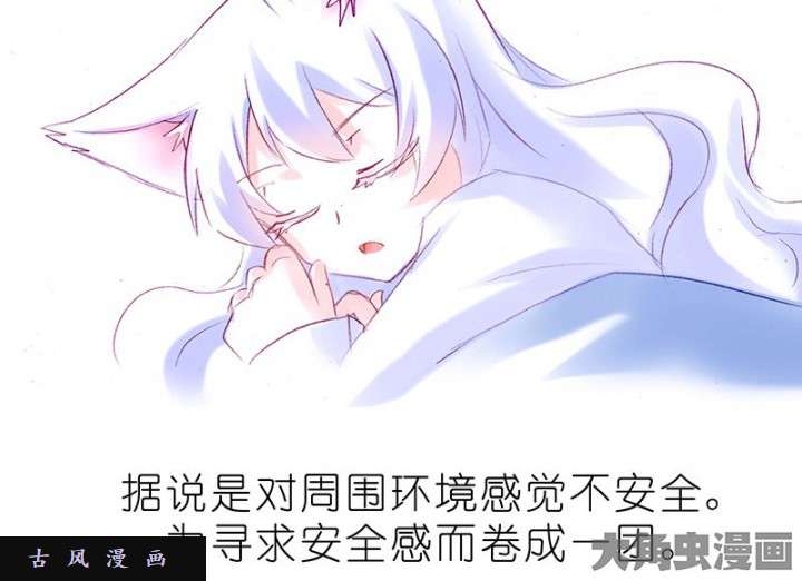 我家大师兄脑子有坑飞星喵 睡相坑