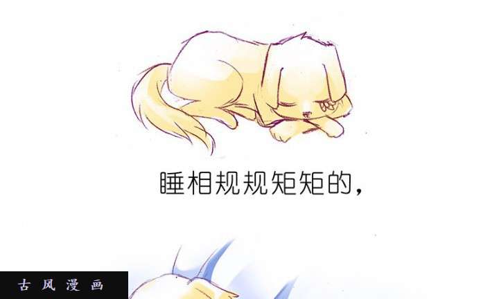 我家大师兄脑子有坑飞星喵 睡相坑