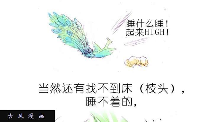 我家大师兄脑子有坑飞星喵 睡相坑