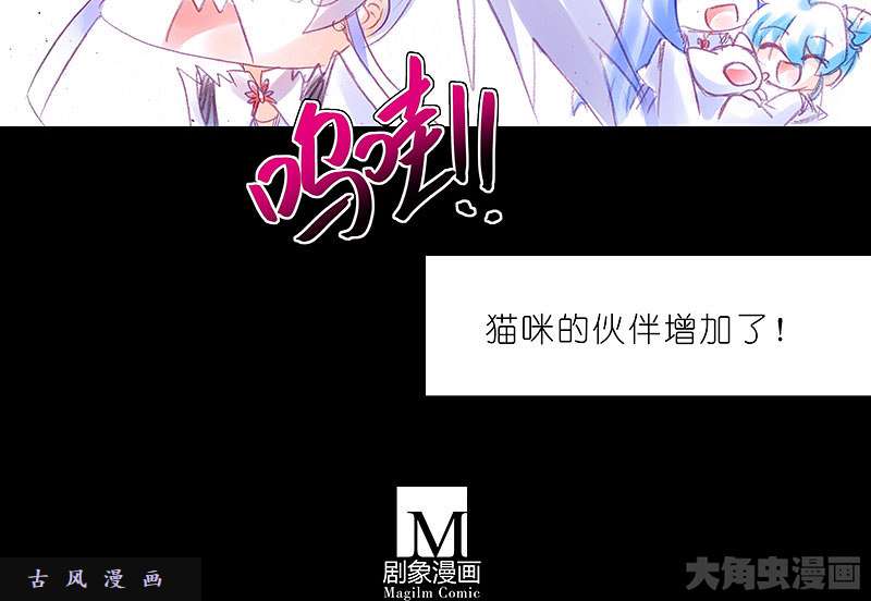 我家大师兄脑子有坑飞星喵 养只猫坑2