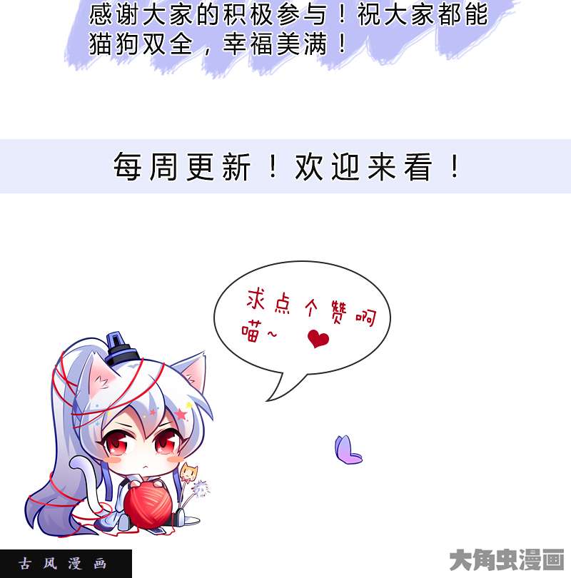 我家大师兄脑子有坑飞星喵 养只猫坑2