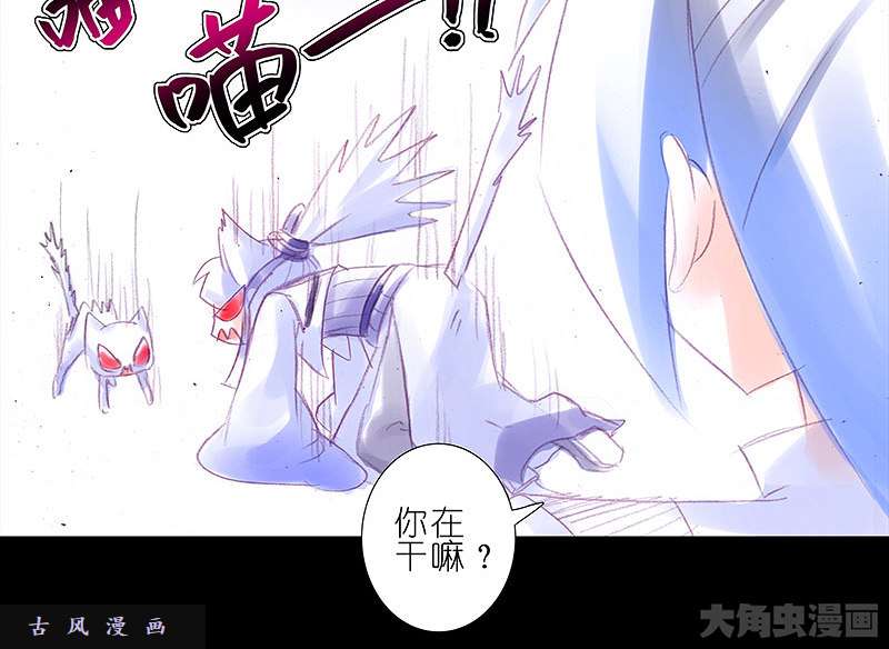 我家大师兄脑子有坑飞星喵 养只猫坑2