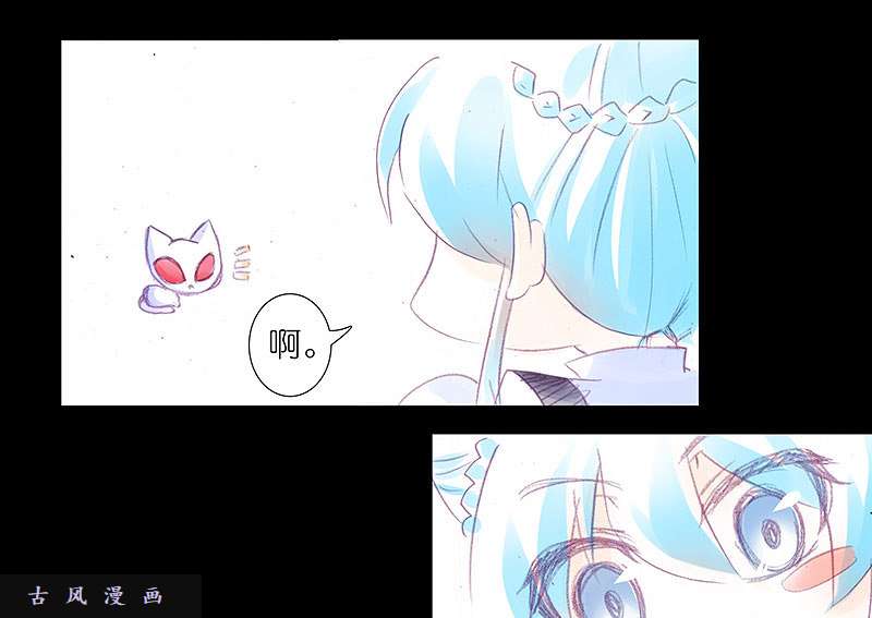 我家大师兄脑子有坑飞星喵 养只猫坑2
