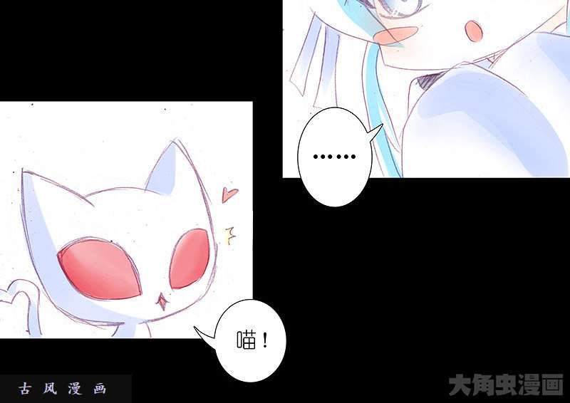 我家大师兄脑子有坑飞星喵 养只猫坑2