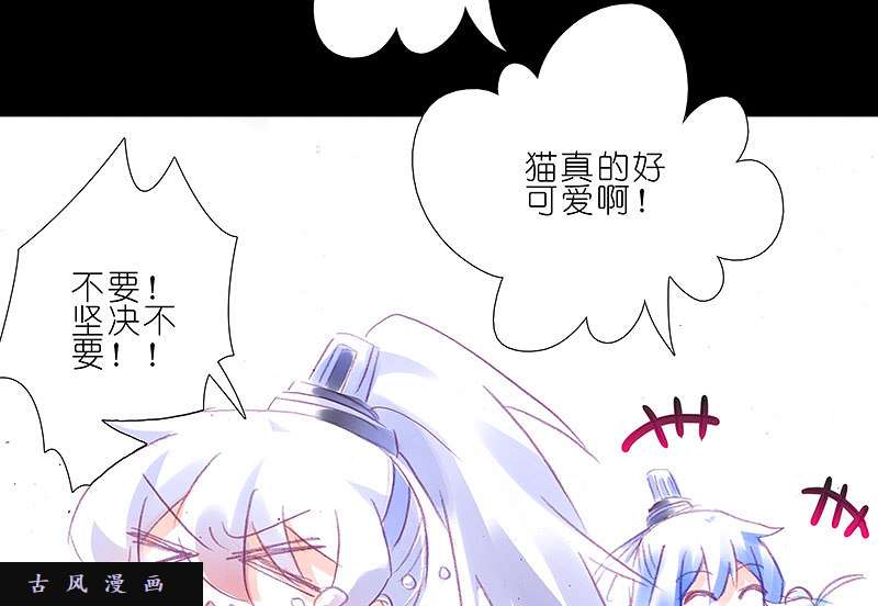 我家大师兄脑子有坑飞星喵 养只猫坑2