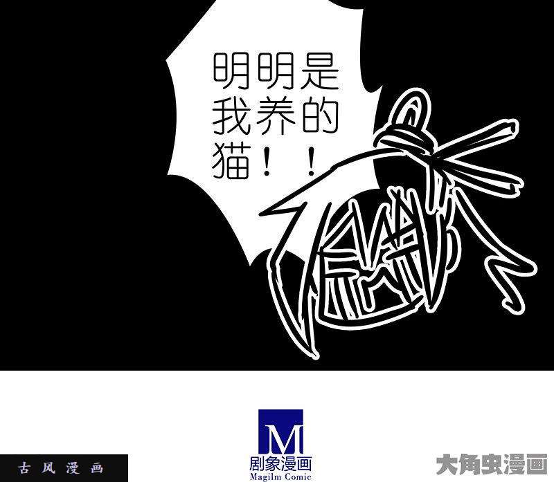 我家大师兄脑子有坑飞星喵 养只猫坑5