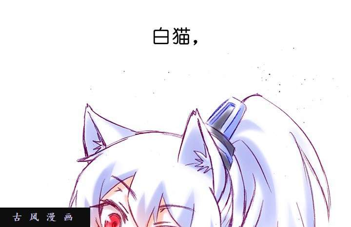 我家大师兄脑子有坑番外飞星喵2 喂！话来！