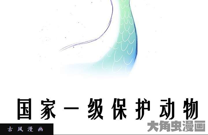 我家大师兄脑子有坑番外飞星喵2 喂！话来！