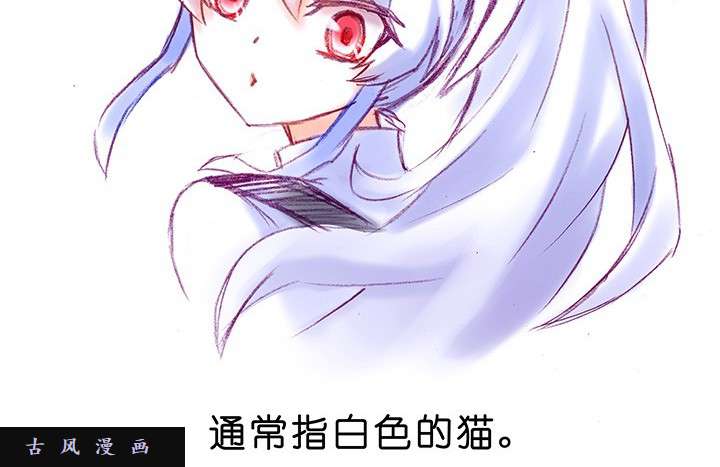 我家大师兄脑子有坑番外飞星喵2 喂！话来！