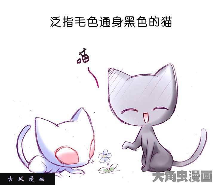 我家大师兄脑子有坑番外飞星喵2 喂！话来！