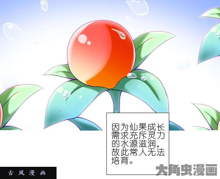 我家大师兄脑子有坑番外8 修真界大百科1