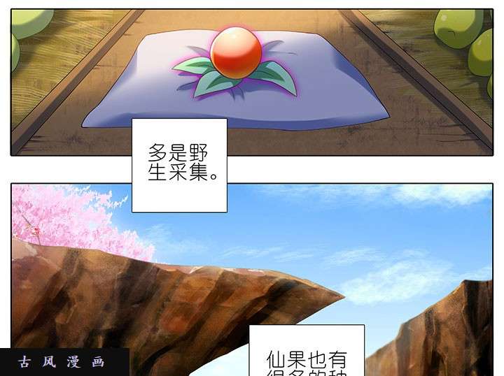 我家大师兄脑子有坑番外8 修真界大百科1
