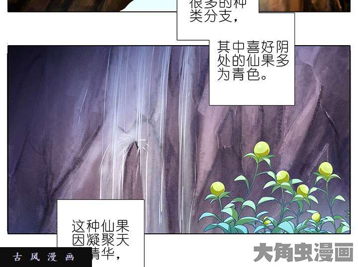 我家大师兄脑子有坑番外8 修真界大百科1