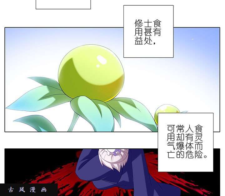 我家大师兄脑子有坑番外8 修真界大百科1