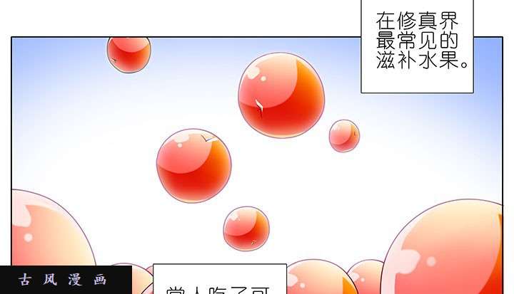 我家大师兄脑子有坑番外8 修真界大百科1