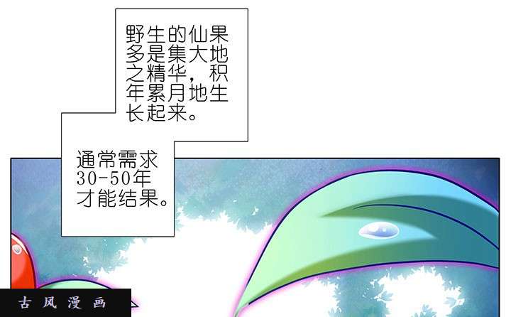 我家大师兄脑子有坑番外8 修真界大百科1