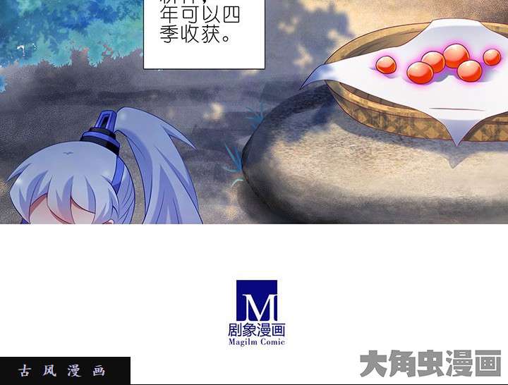 我家大师兄脑子有坑番外8 修真界大百科1