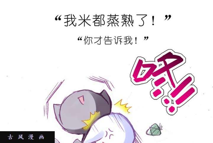 我家大师兄脑子有坑番外飞星喵10 粽子的正确做法