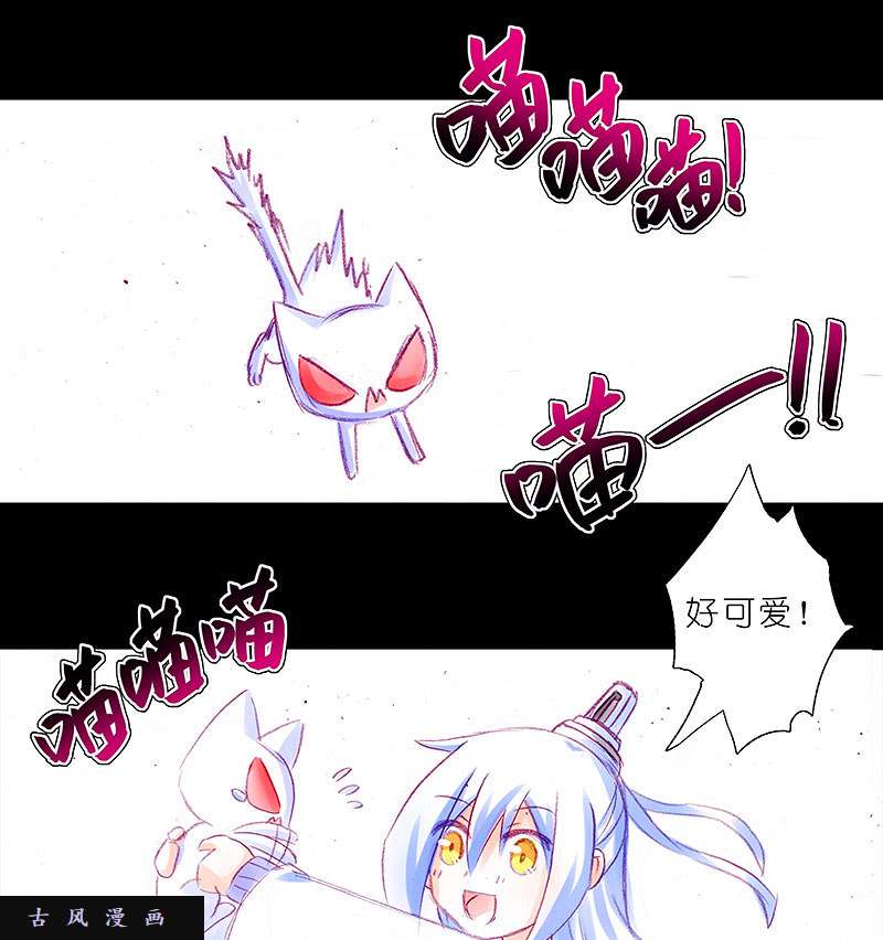 我家大师兄脑子有坑飞星喵 养只猫坑1