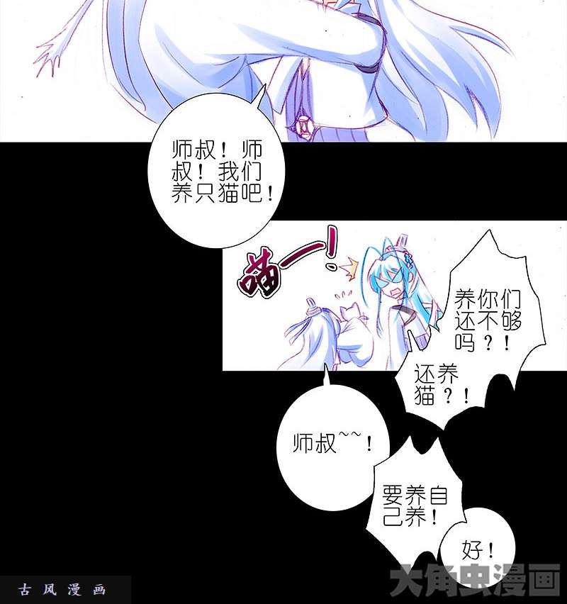 我家大师兄脑子有坑飞星喵 养只猫坑1