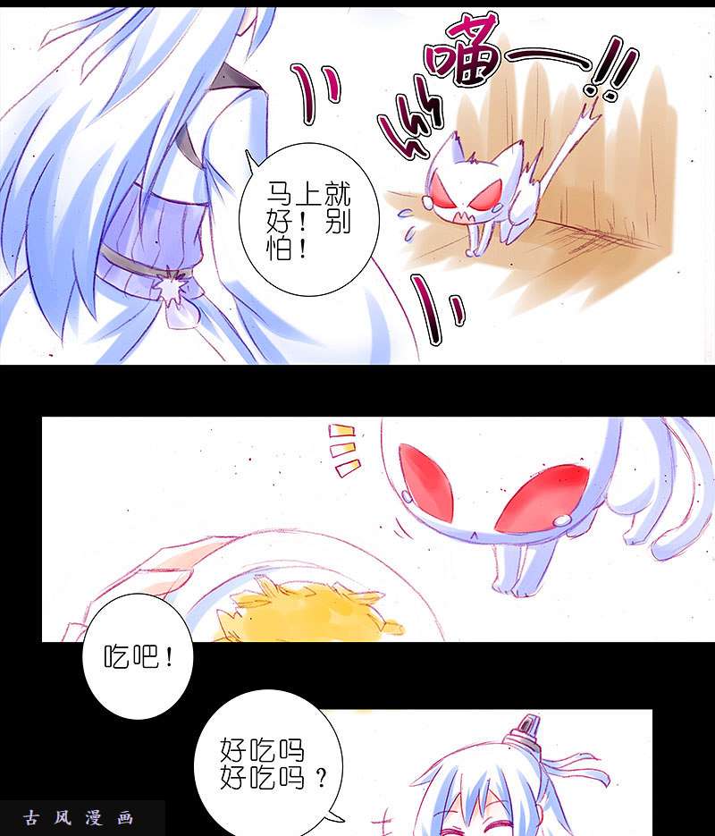 我家大师兄脑子有坑飞星喵 养只猫坑1