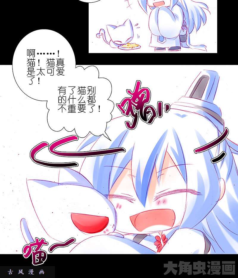 我家大师兄脑子有坑飞星喵 养只猫坑1