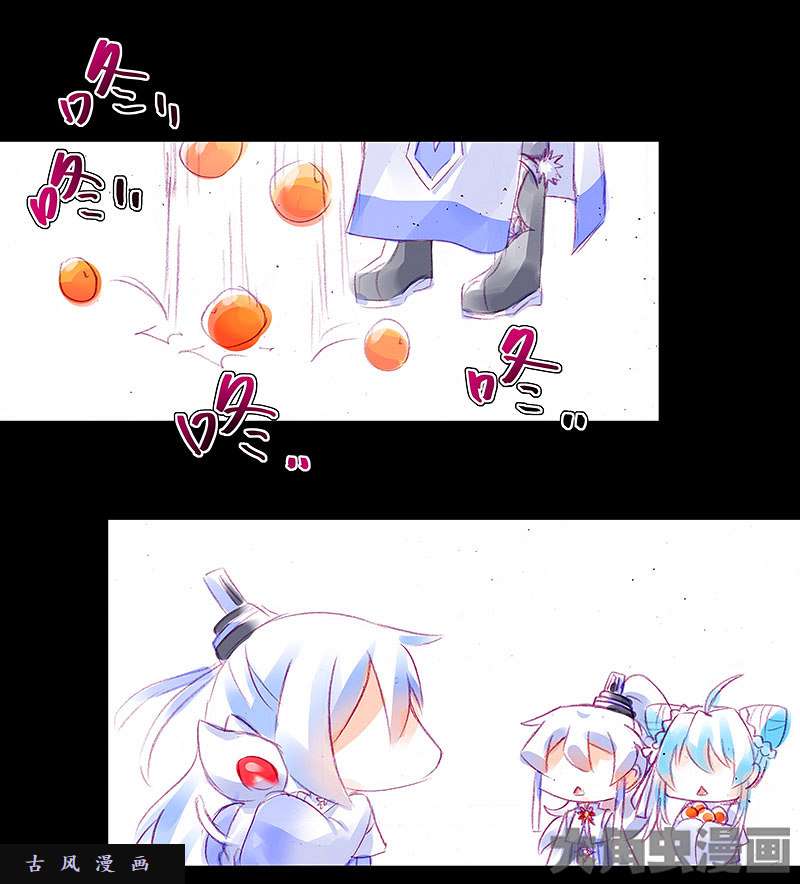 我家大师兄脑子有坑飞星喵 养只猫坑1