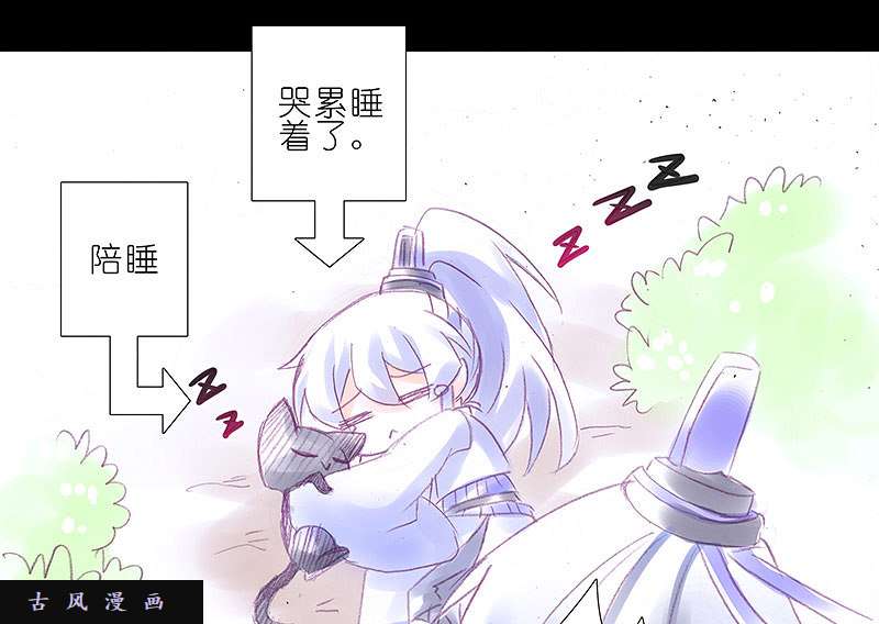 我家大师兄脑子有坑飞星喵 养只猫坑3