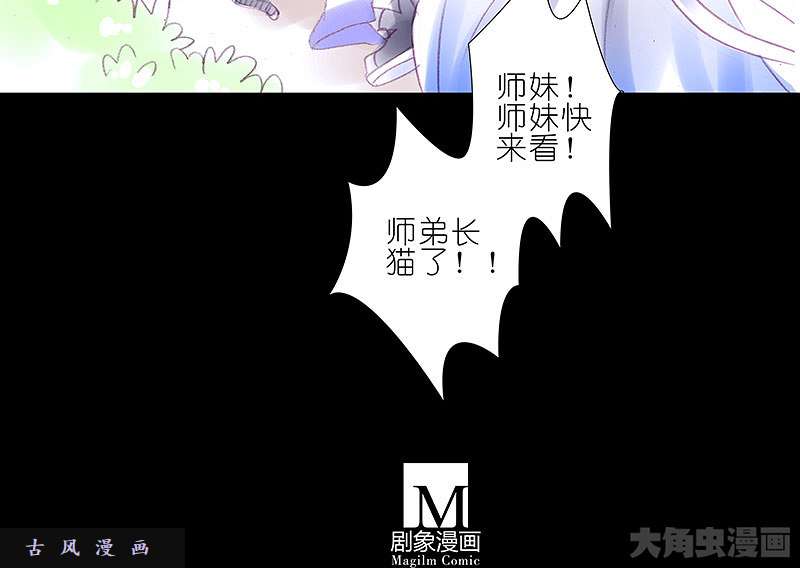 我家大师兄脑子有坑飞星喵 养只猫坑3