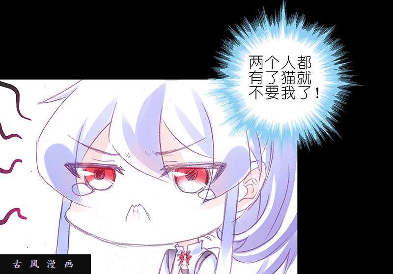 我家大师兄脑子有坑飞星喵 养只猫坑3