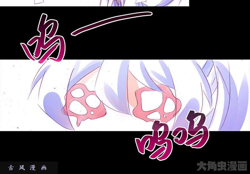 我家大师兄脑子有坑飞星喵 养只猫坑3