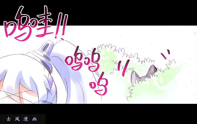 我家大师兄脑子有坑飞星喵 养只猫坑3