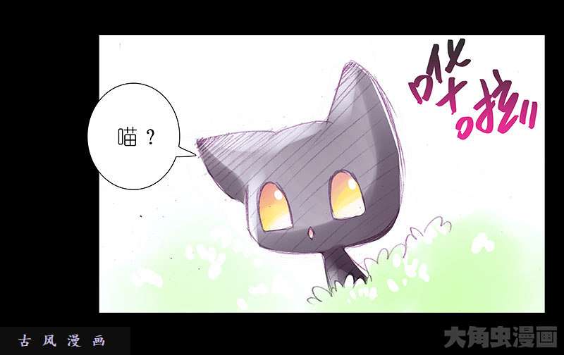 我家大师兄脑子有坑飞星喵 养只猫坑3