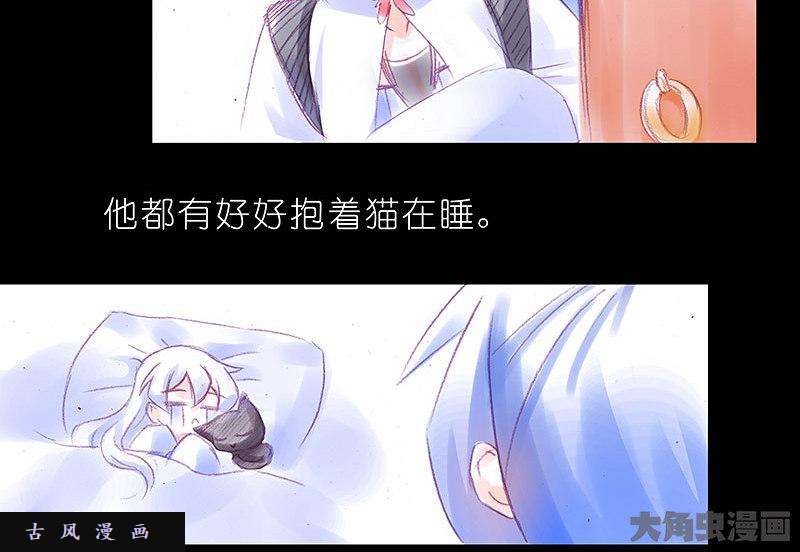 我家大师兄脑子有坑飞星喵 养只猫坑4