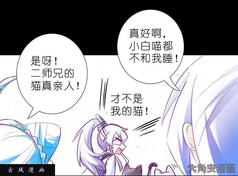 我家大师兄脑子有坑飞星喵 养只猫坑4