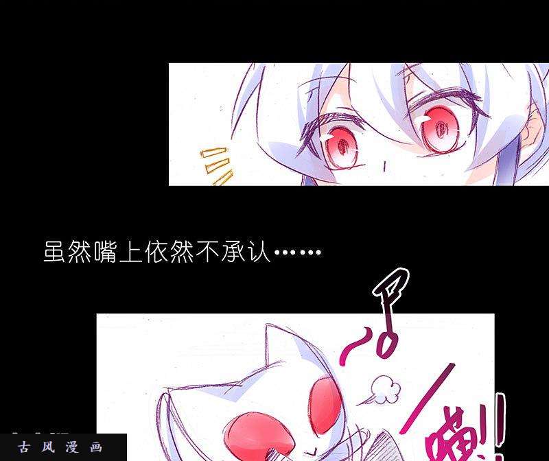 我家大师兄脑子有坑飞星喵 养只猫坑4
