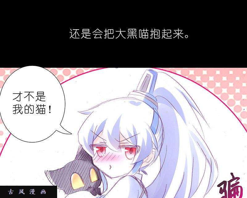 我家大师兄脑子有坑飞星喵 养只猫坑4