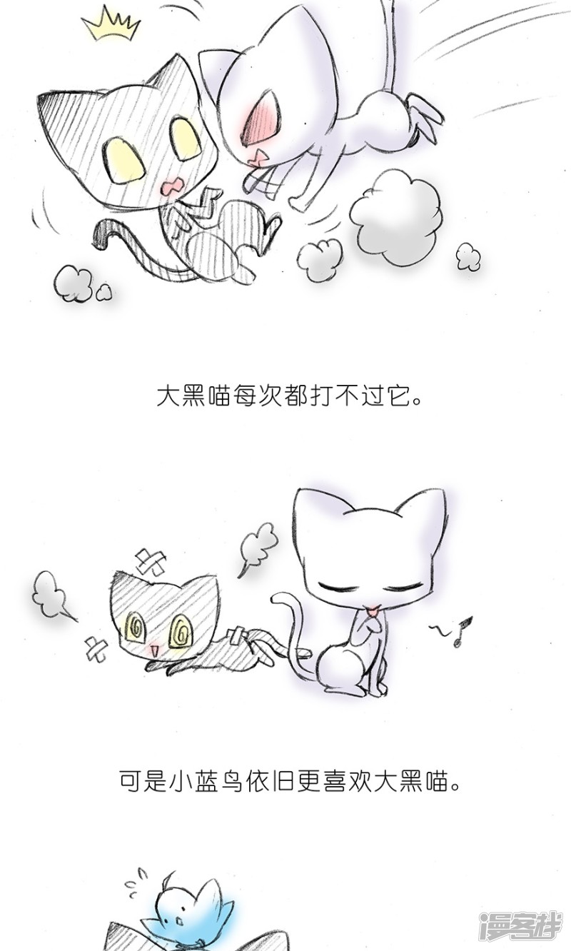 我家大师兄脑子有坑番外16 飞星喵2 为什么不喜欢我？