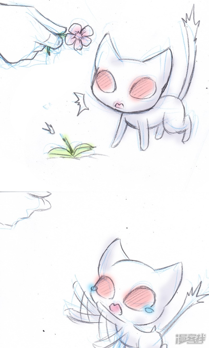 我家大师兄脑子有坑番外15 飞星喵1 一个梦