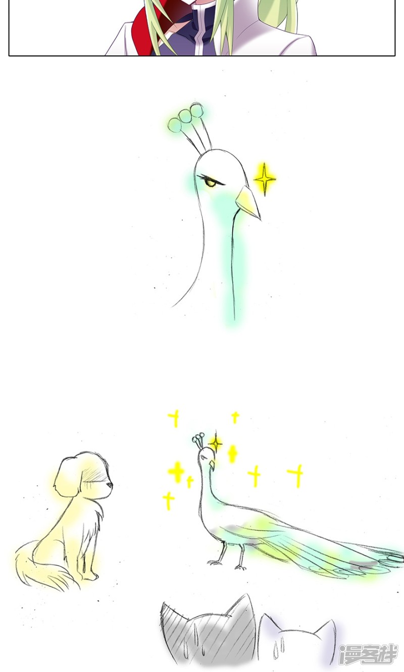 我家大师兄脑子有坑番外17 飞星喵3 你们喵不懂