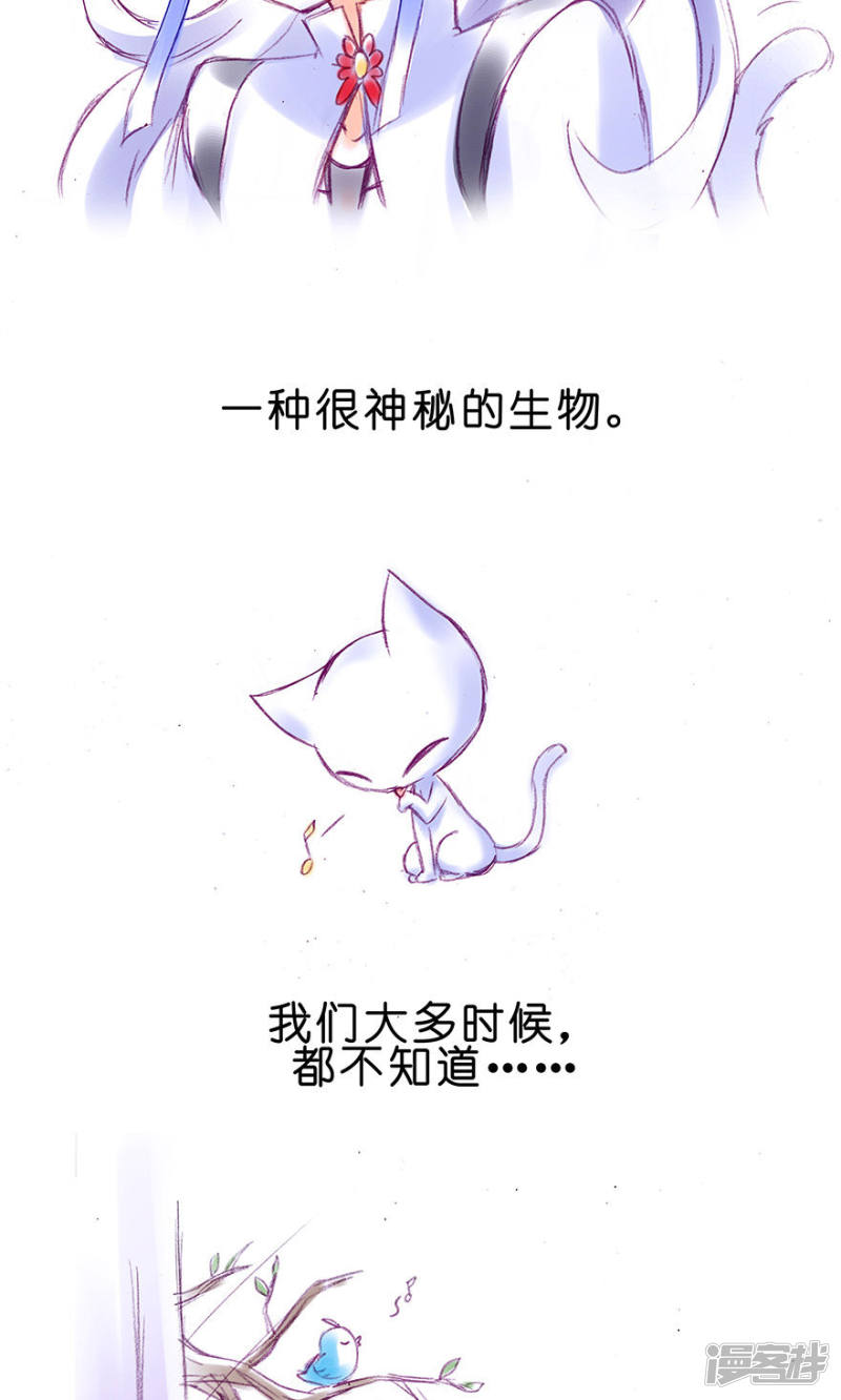 我家大师兄脑子有坑番外23 飞星喵6-15合集