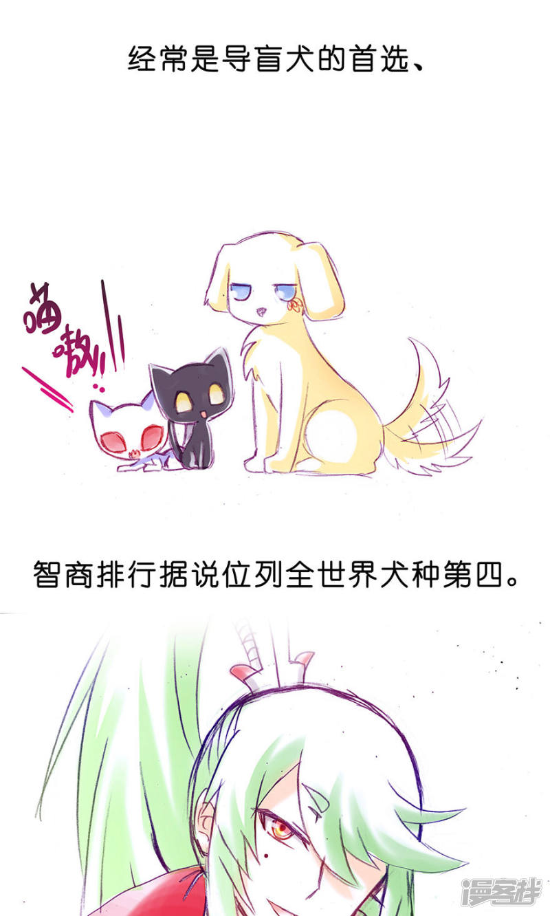 我家大师兄脑子有坑番外23 飞星喵6-15合集